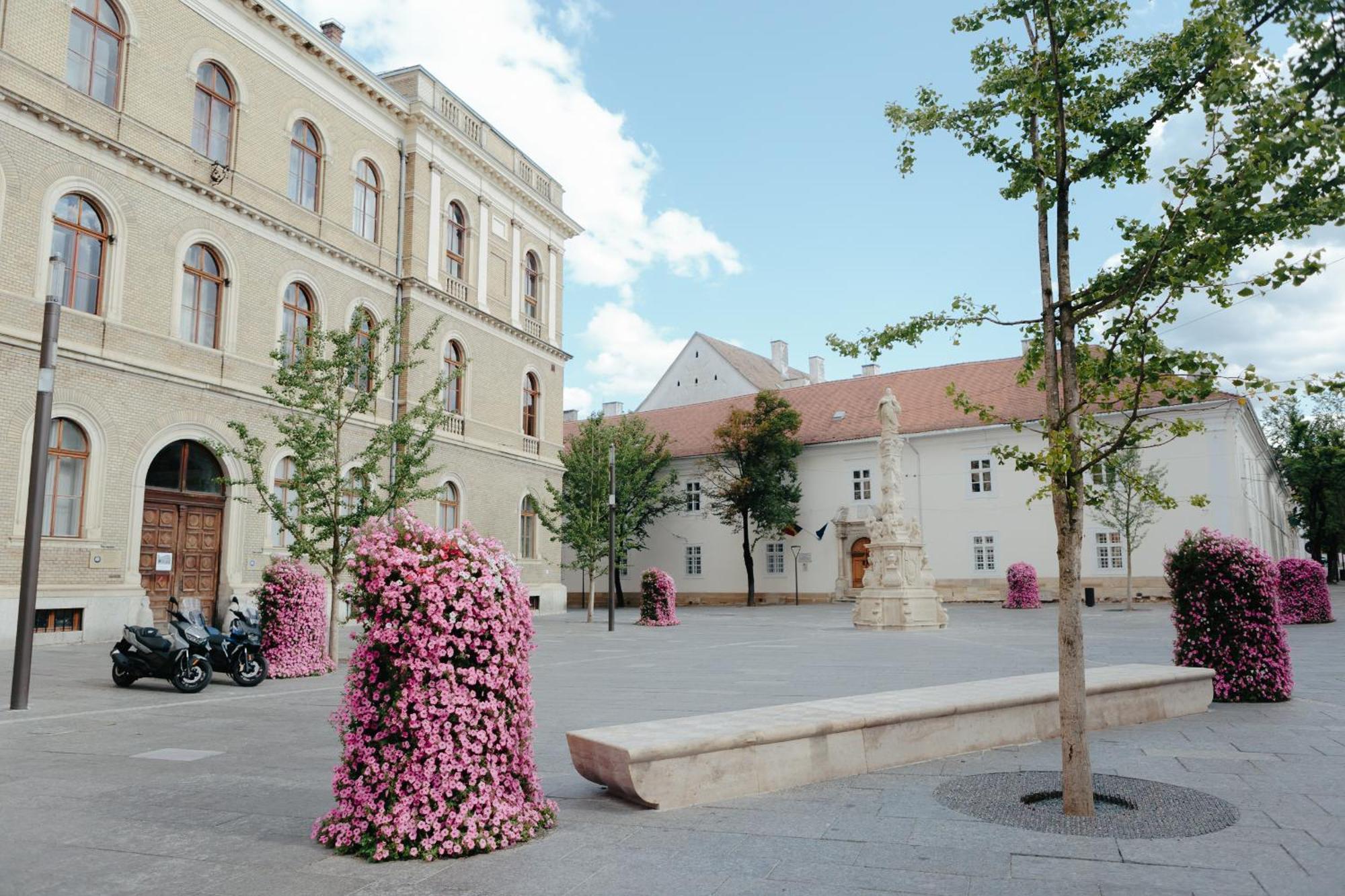 Contessa Apartment Cluj Napoca Buitenkant foto
