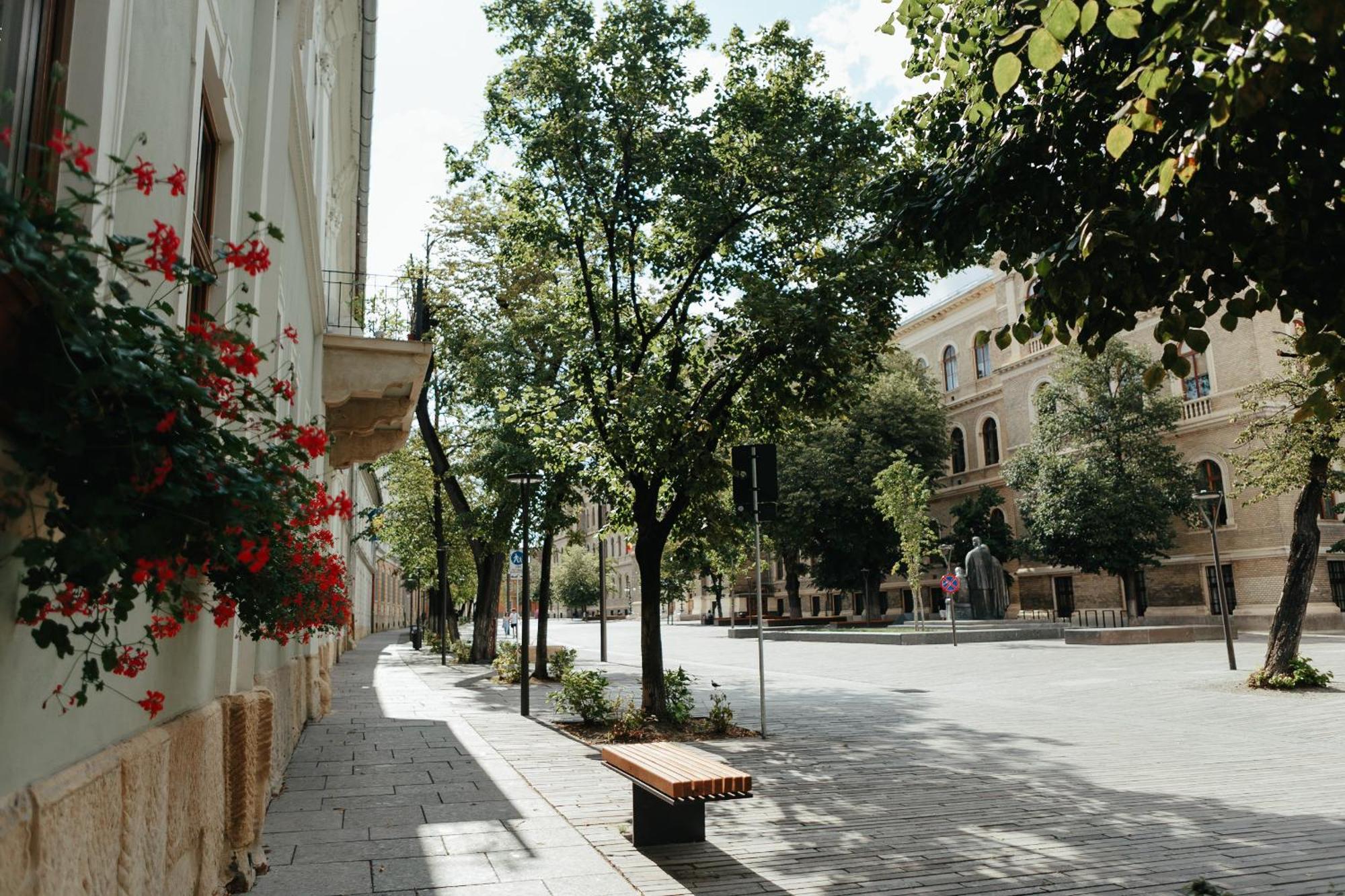 Contessa Apartment Cluj Napoca Buitenkant foto