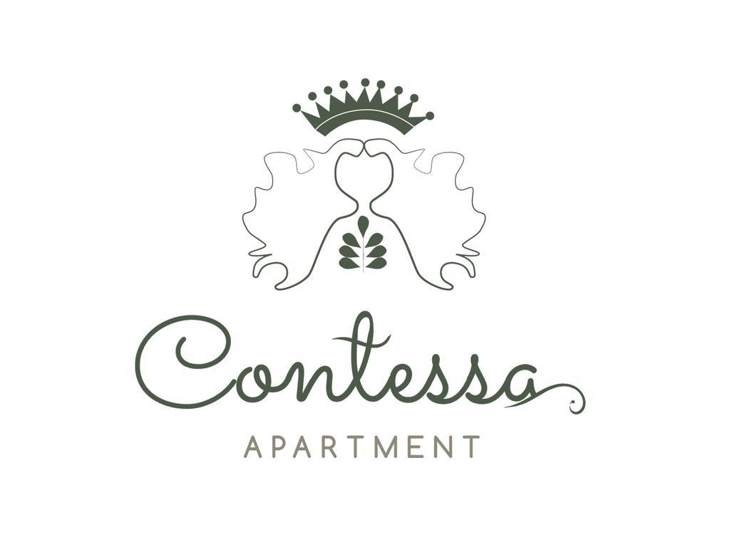 Contessa Apartment Cluj Napoca Buitenkant foto